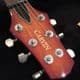 Carvin CT624  | Audio Emotion | Pre Owned